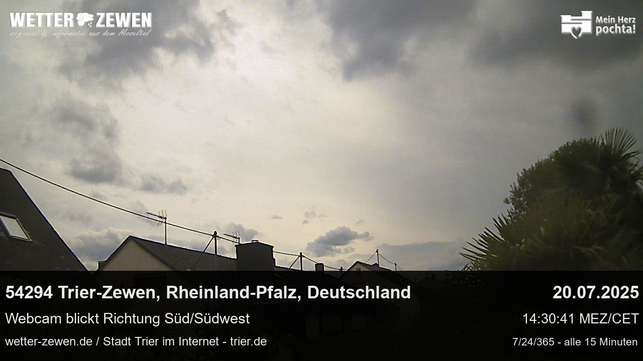 Bild