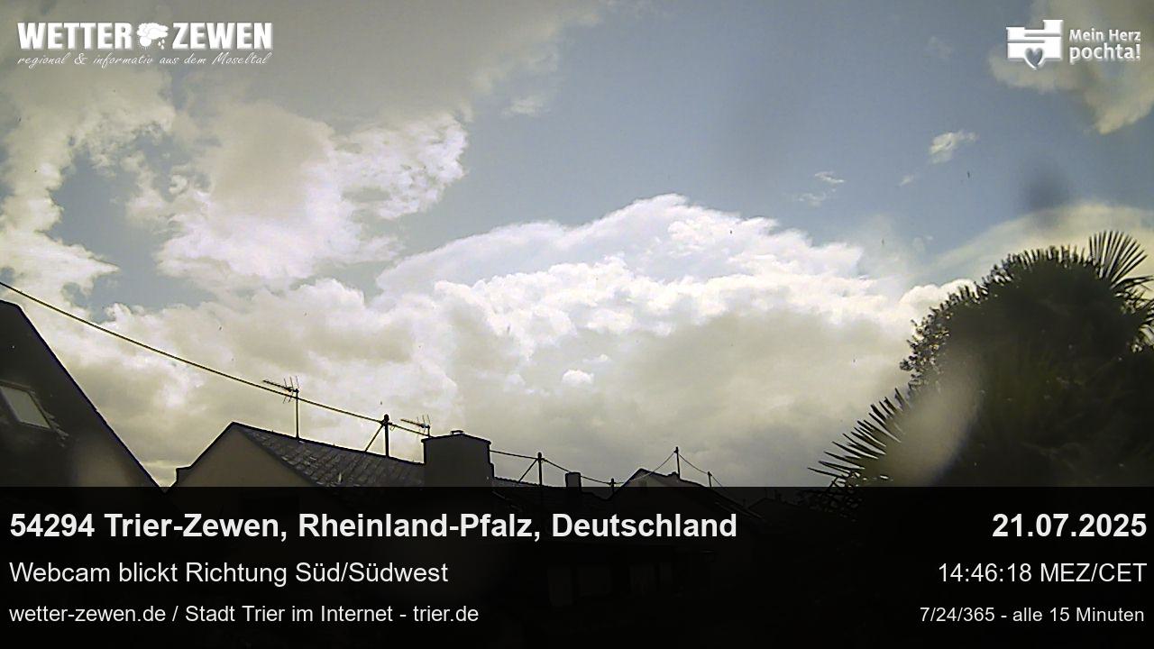 Bild