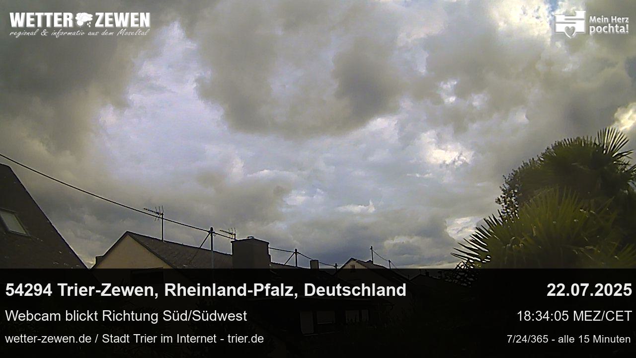 Bild