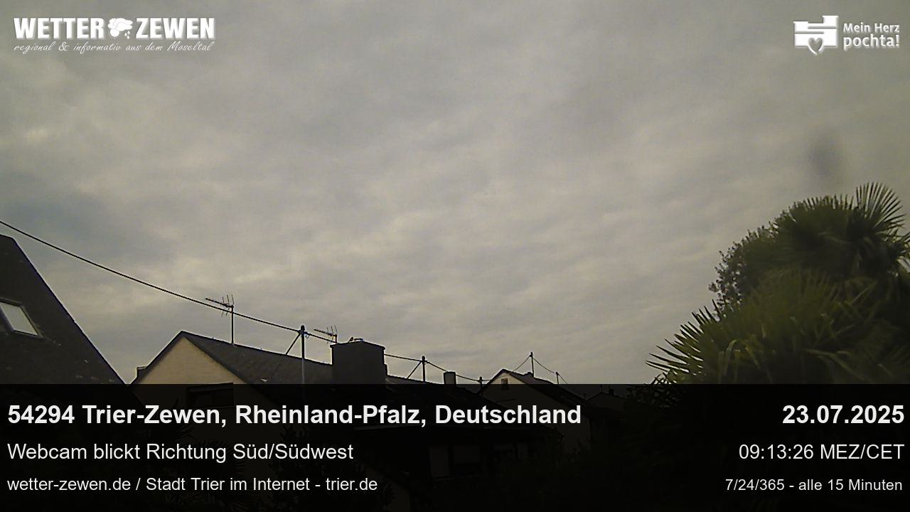 Bild