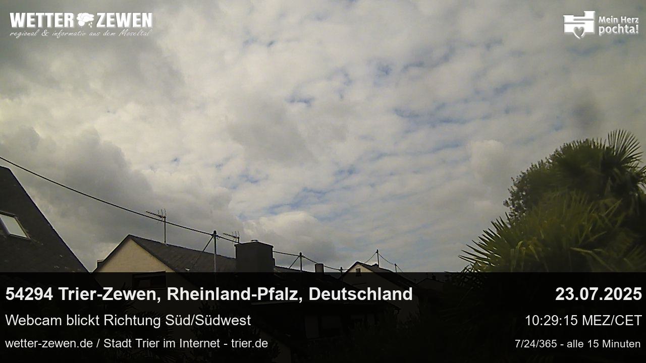 Bild