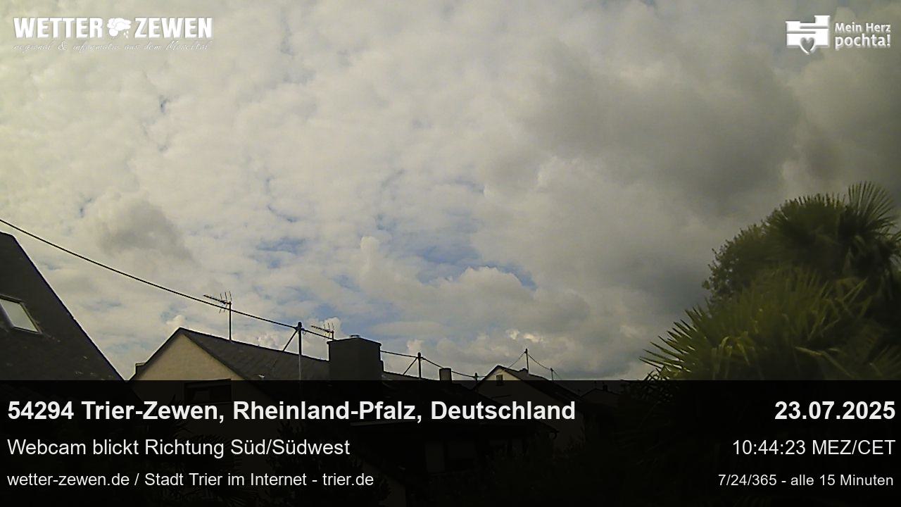 Bild
