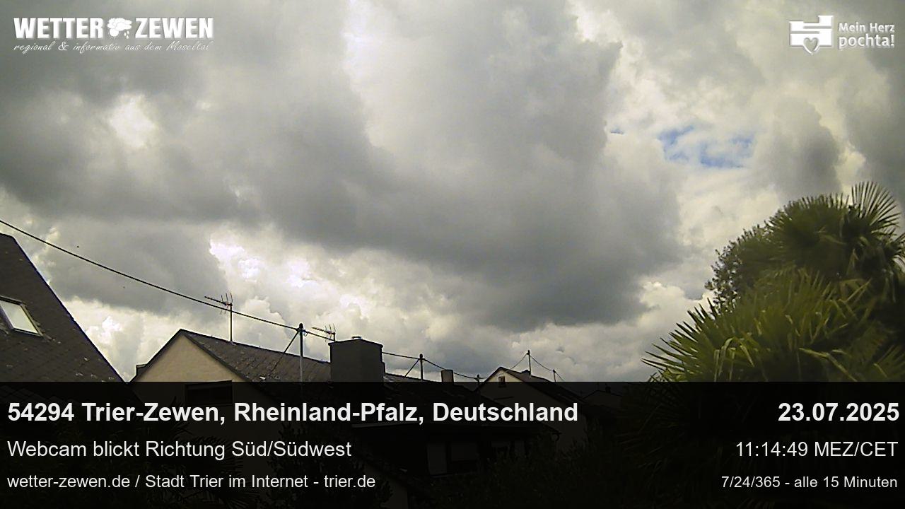 Bild