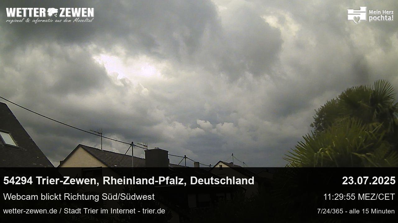 Bild
