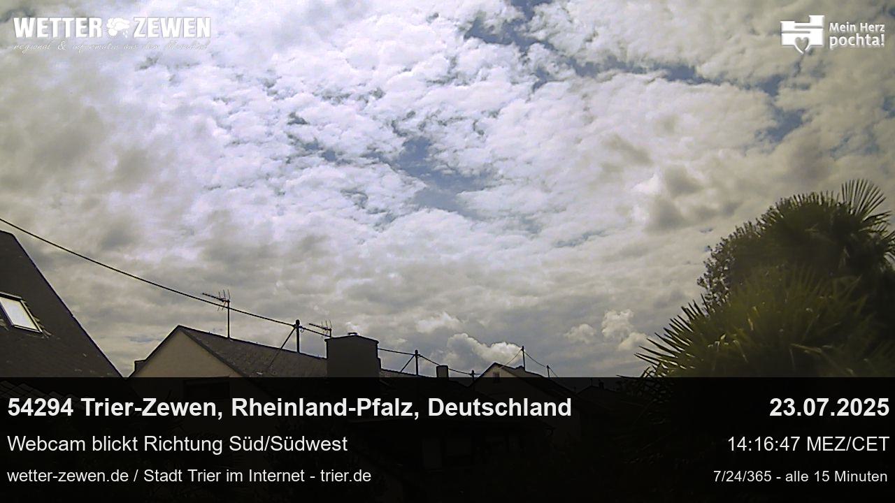 Bild