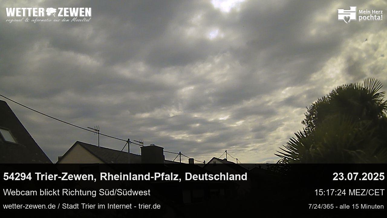 Bild