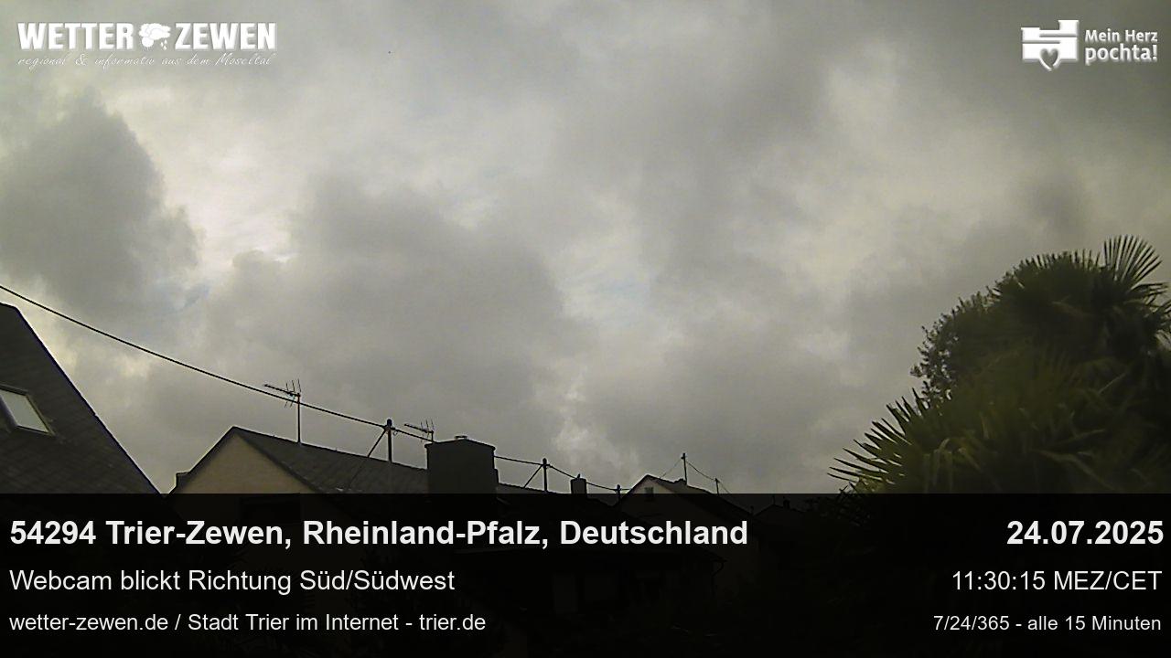 Bild