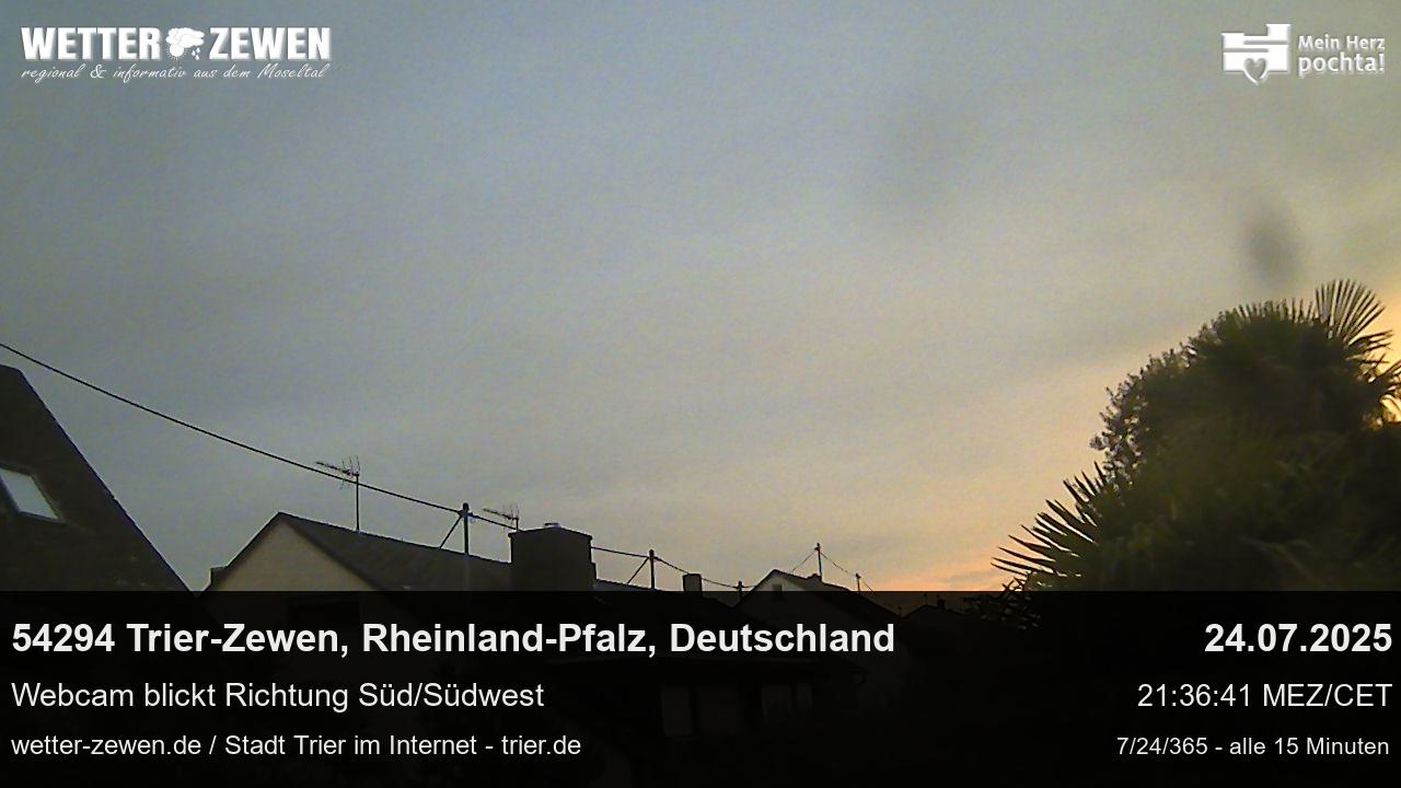 Bild