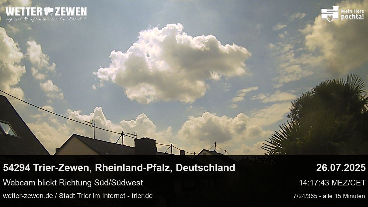 Bild