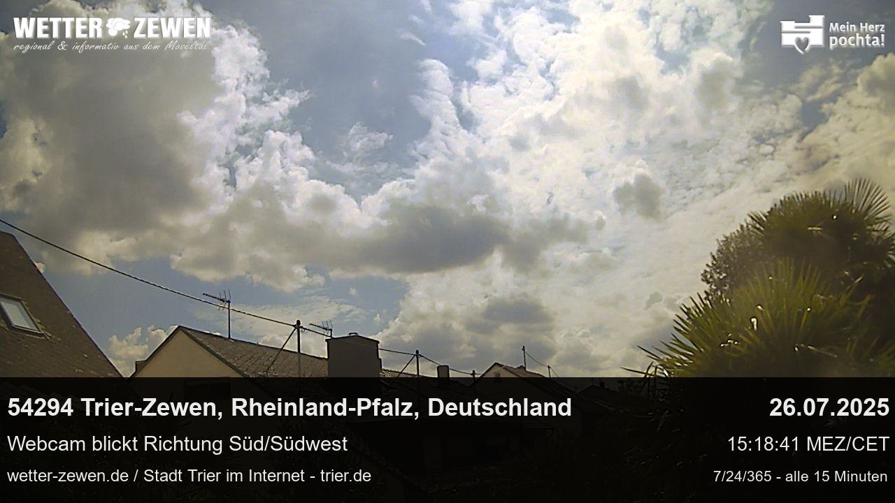 Bild