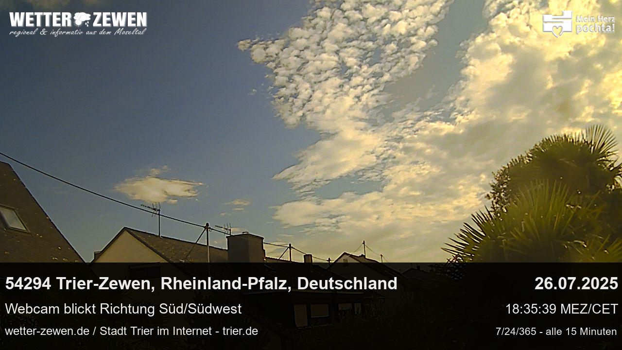 Bild