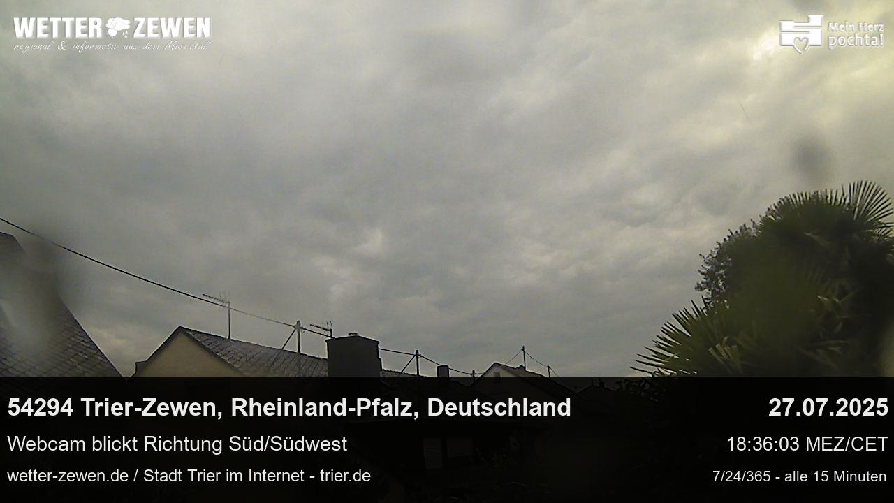 Bild