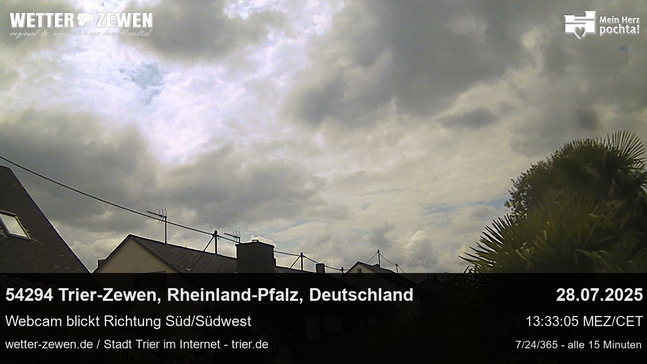 Bild