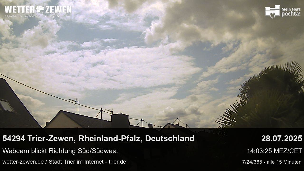 Bild