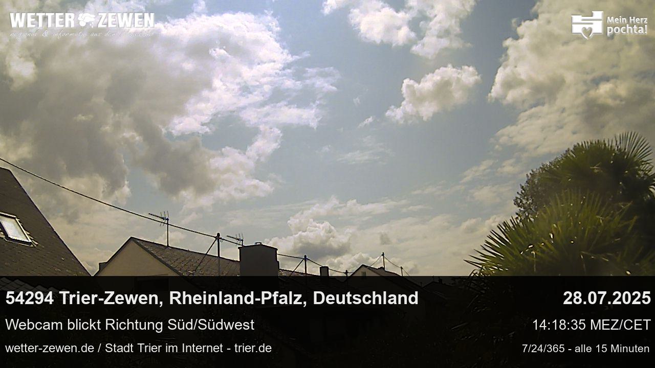 Bild