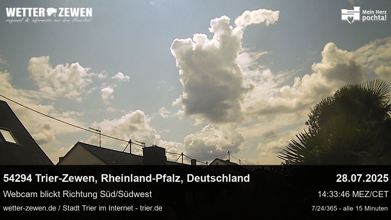 Bild