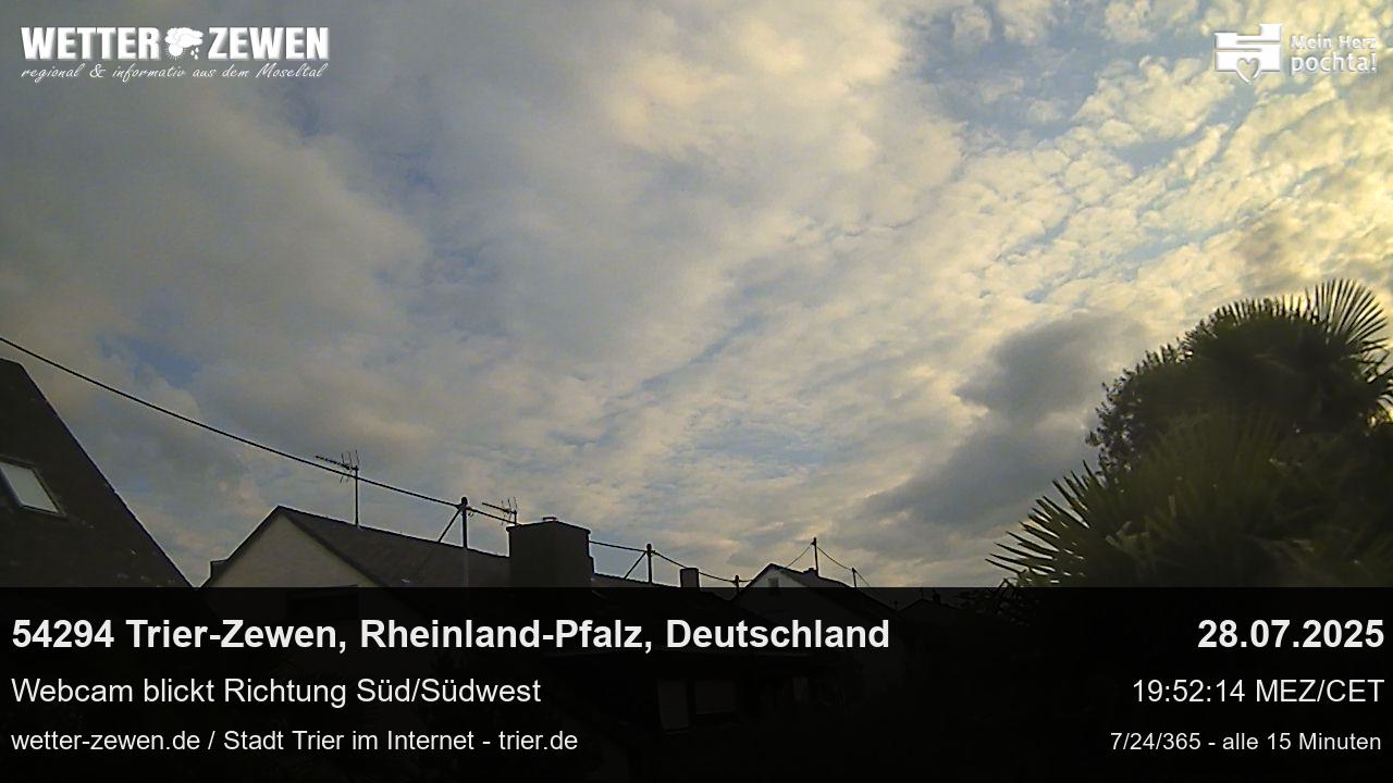 Bild
