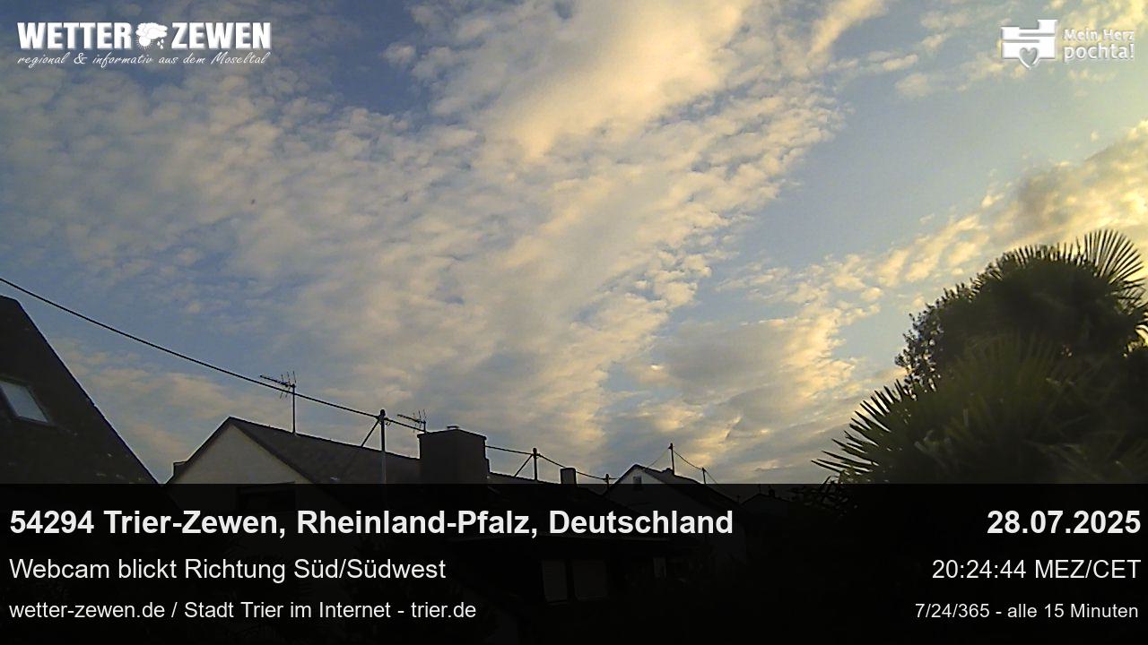 Bild