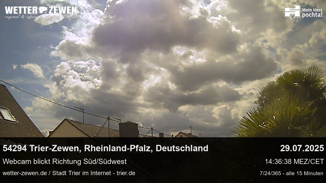 Bild