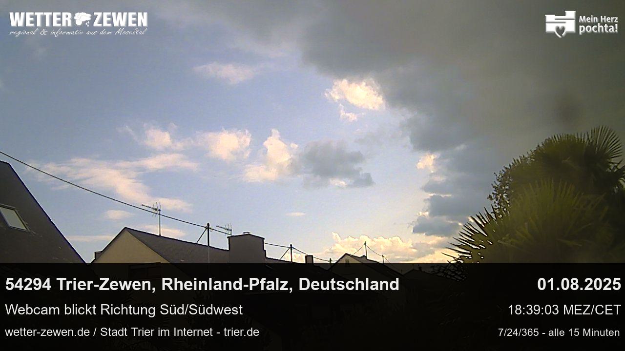 Bild