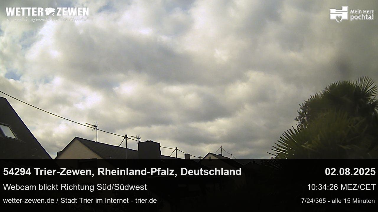 Bild