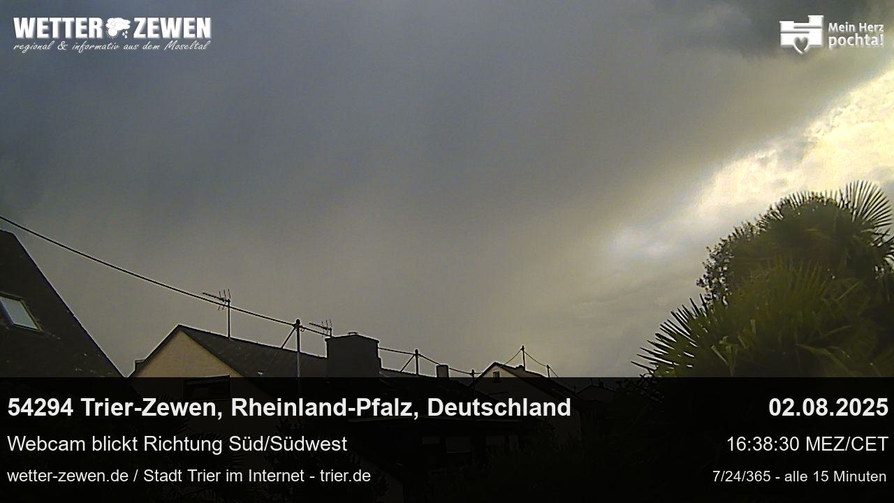 Bild