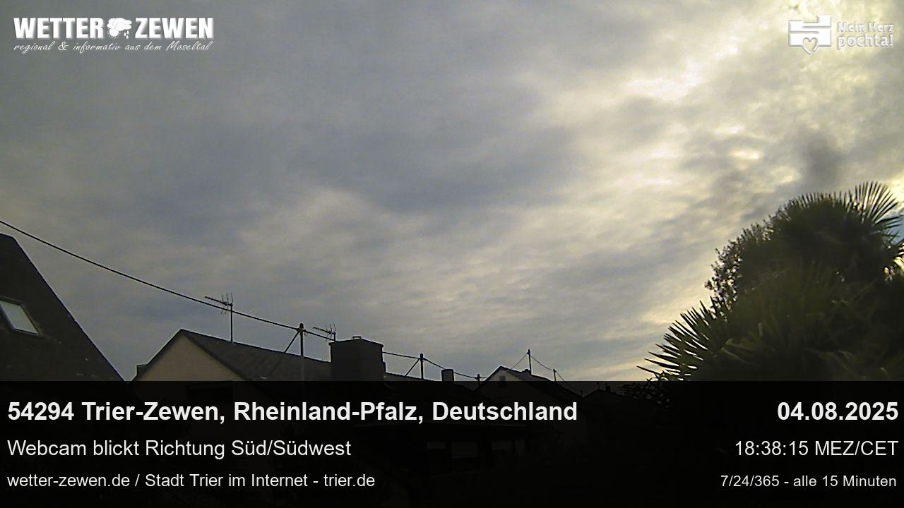 Bild