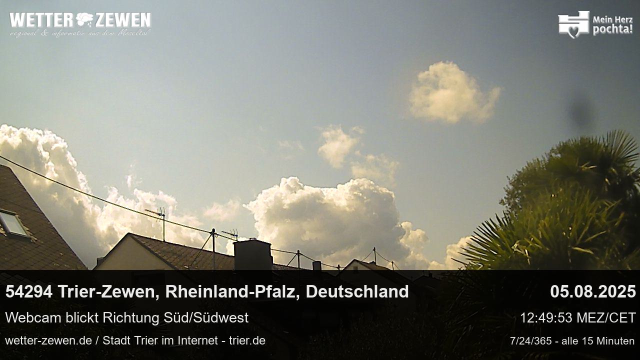 Bild