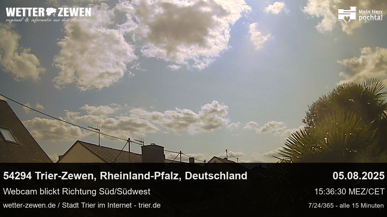 Bild