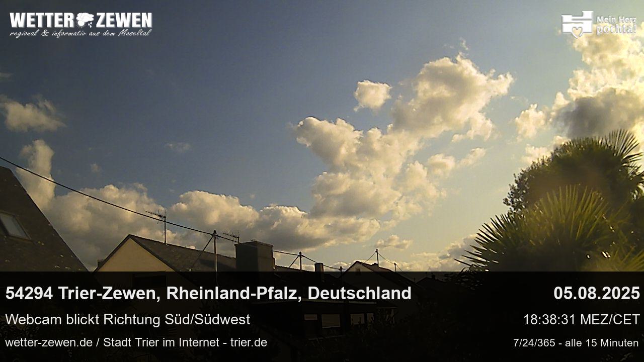 Bild