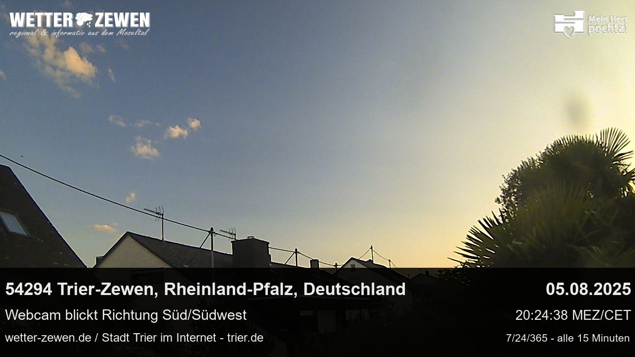 Bild