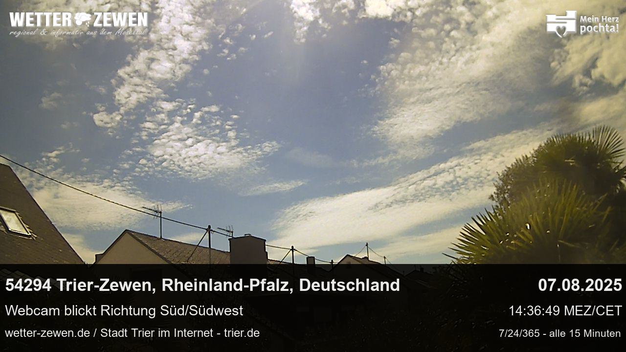 Bild