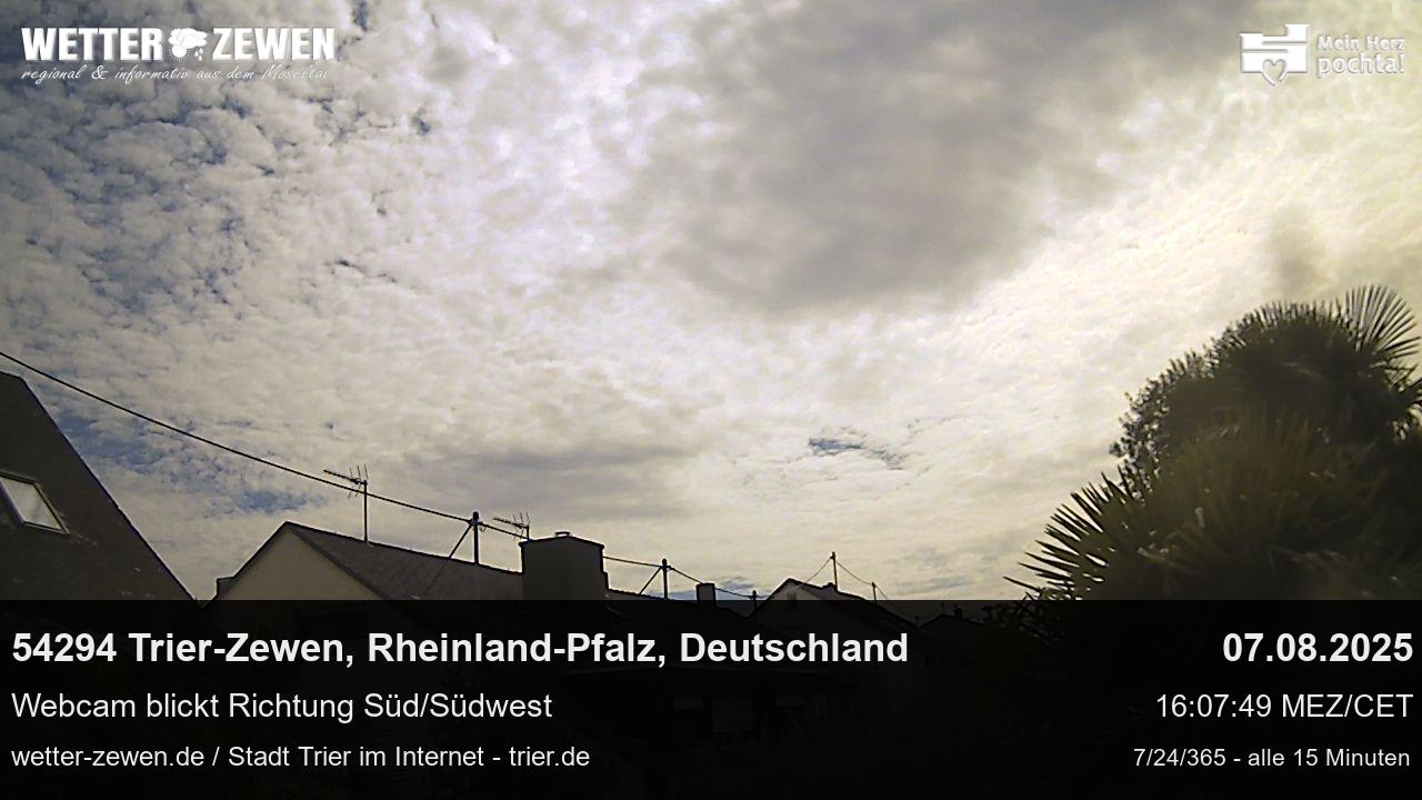 Bild