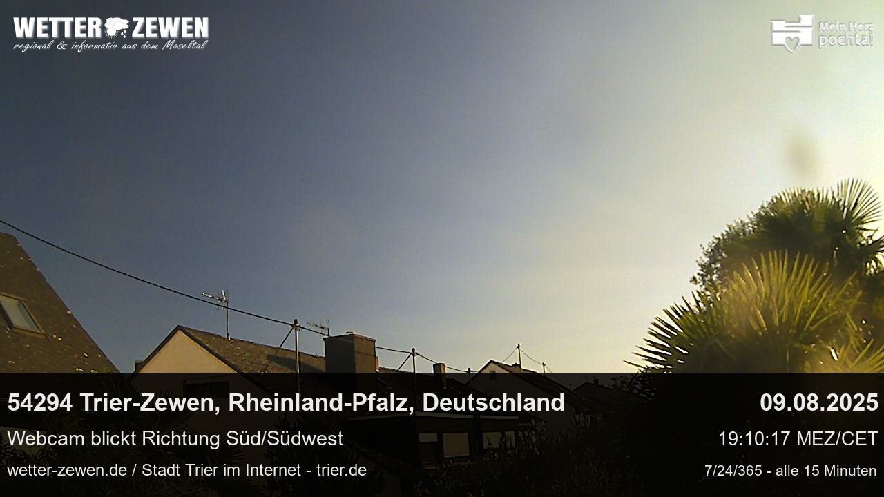 Bild