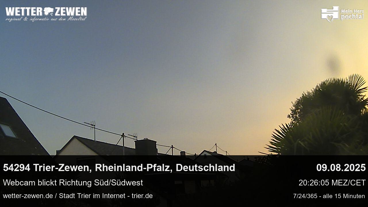 Bild