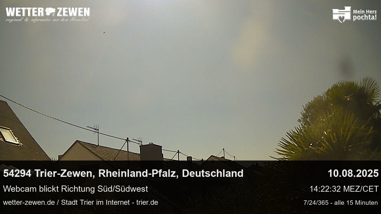 Bild