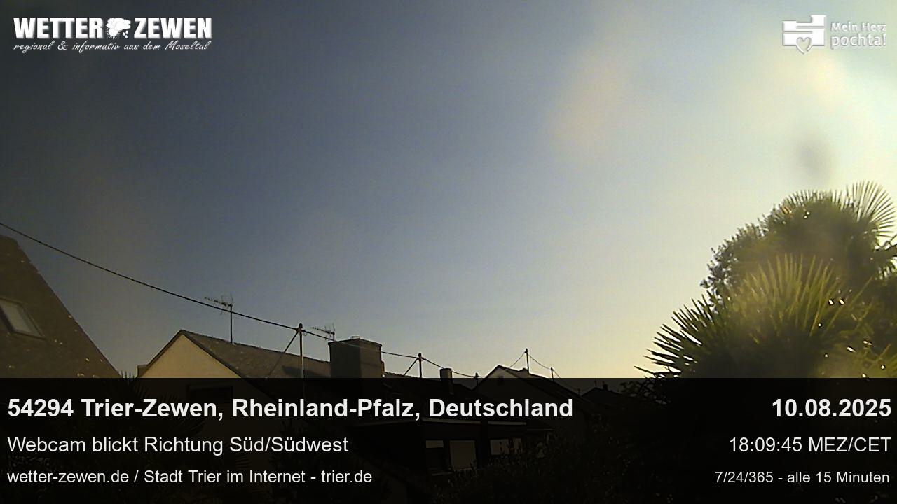 Bild