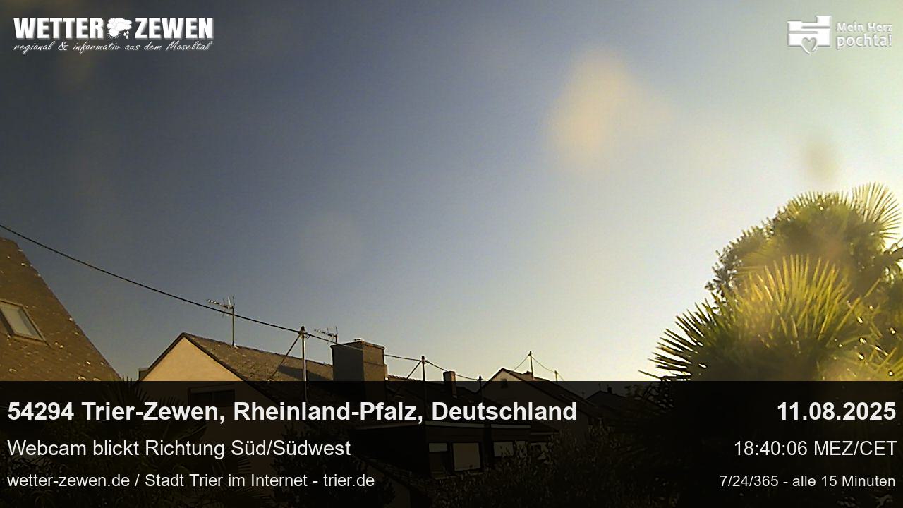 Bild