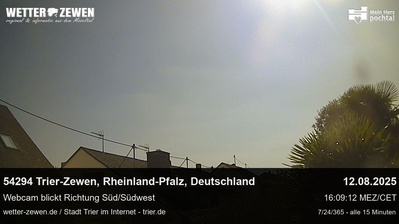 Bild
