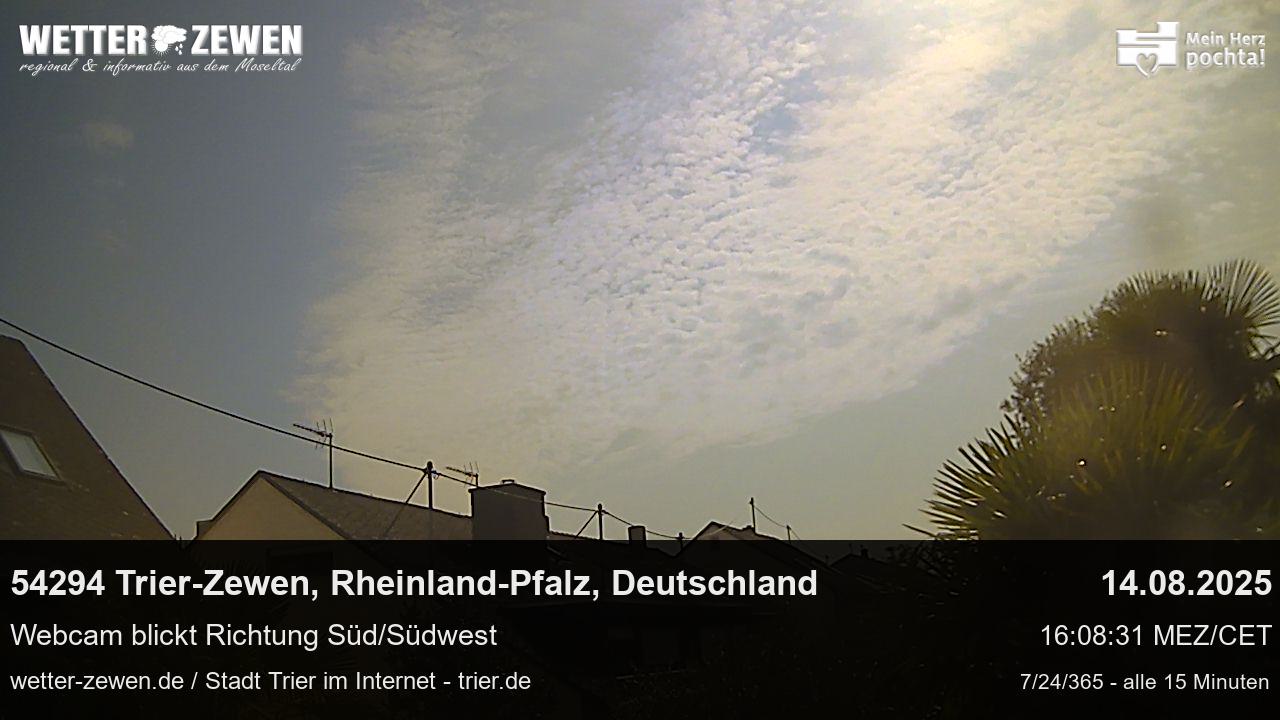 Bild