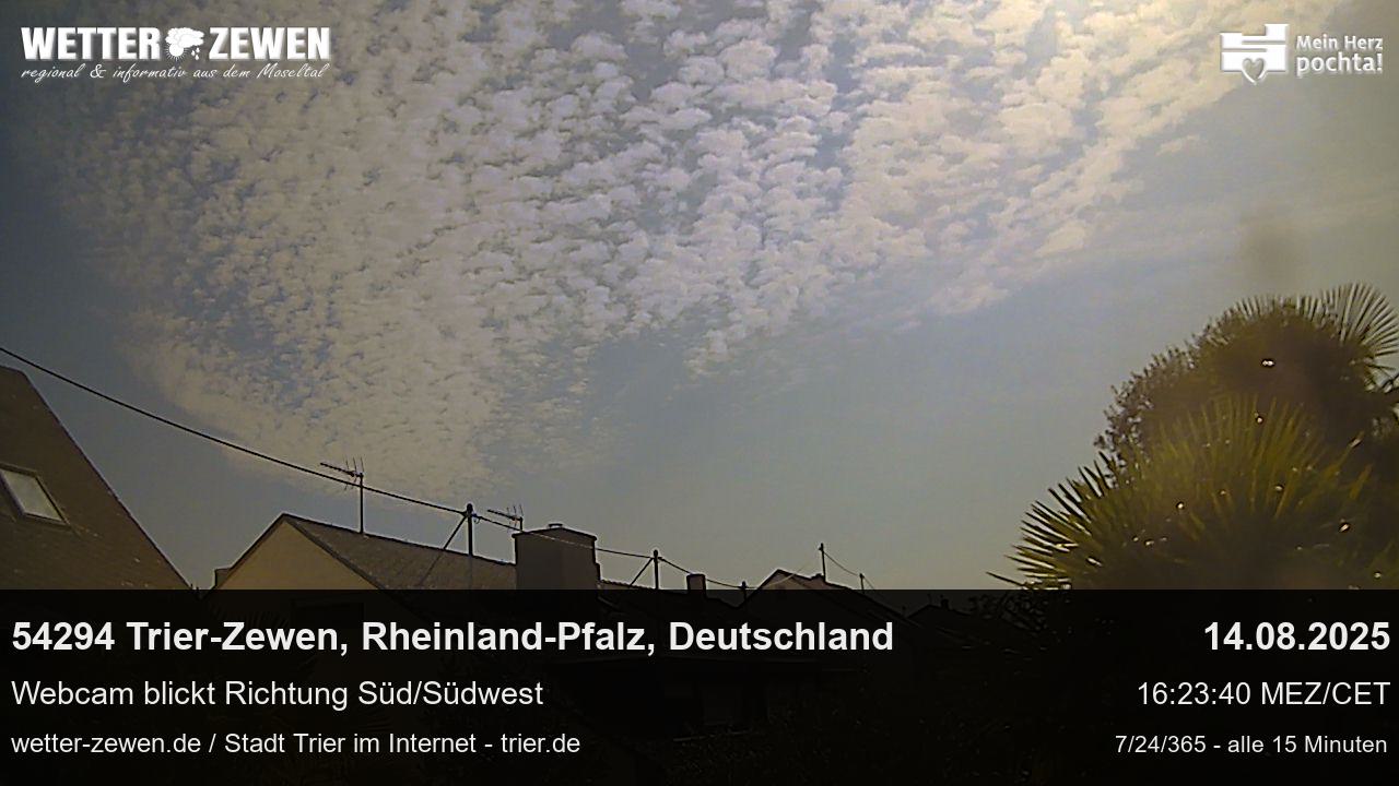 Bild