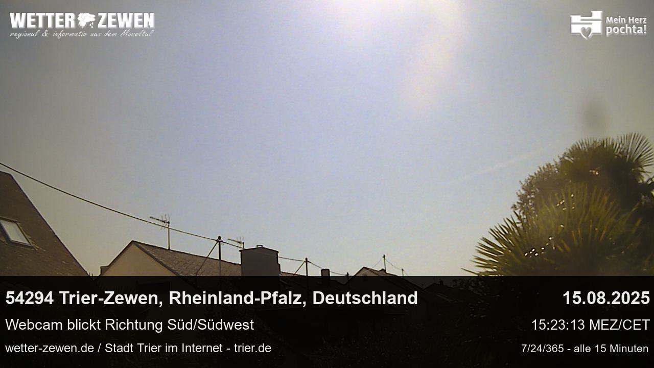 Bild