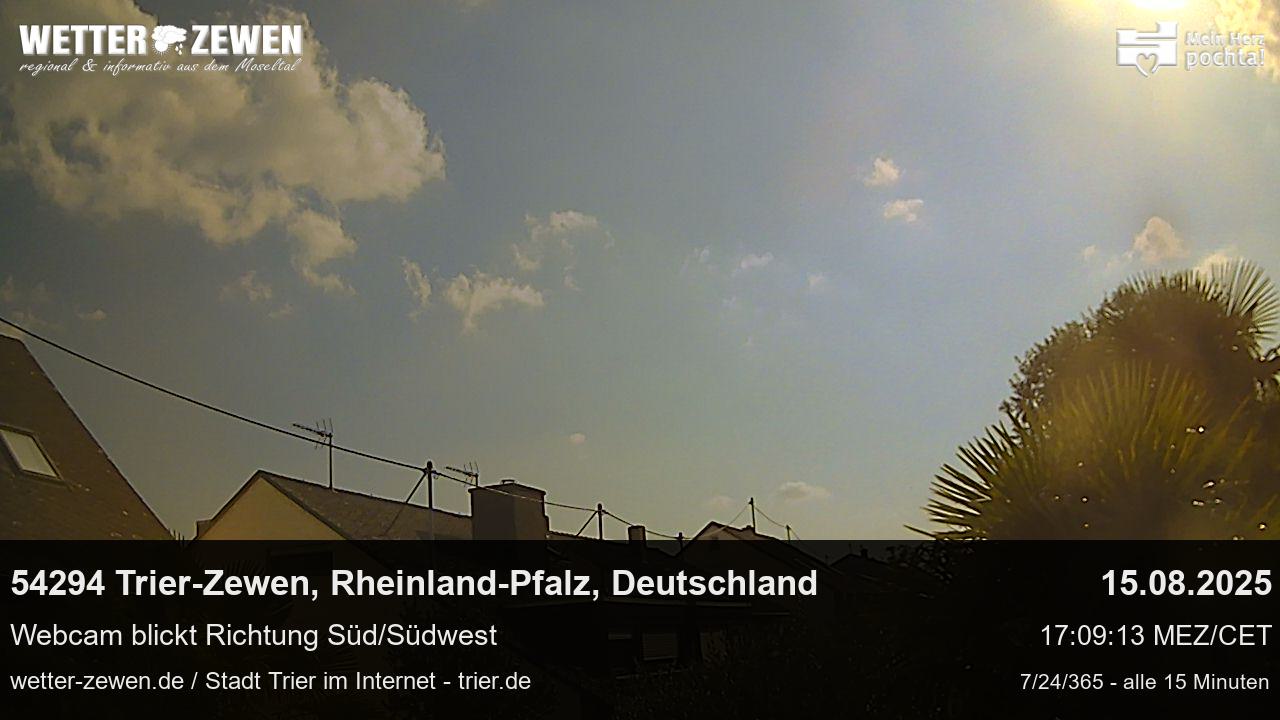 Bild