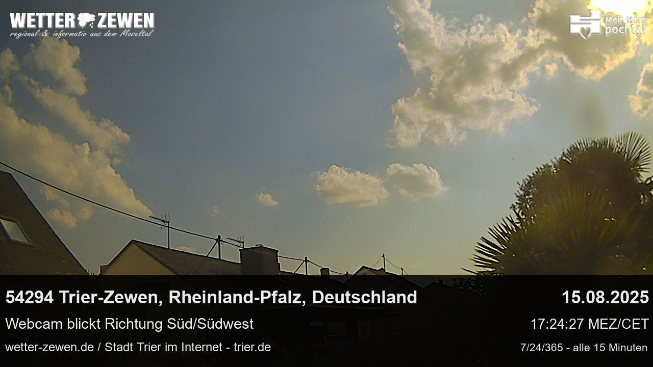 Bild