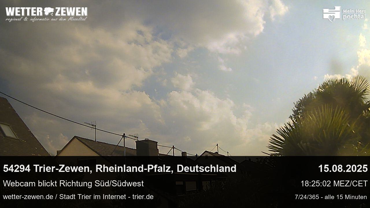 Bild