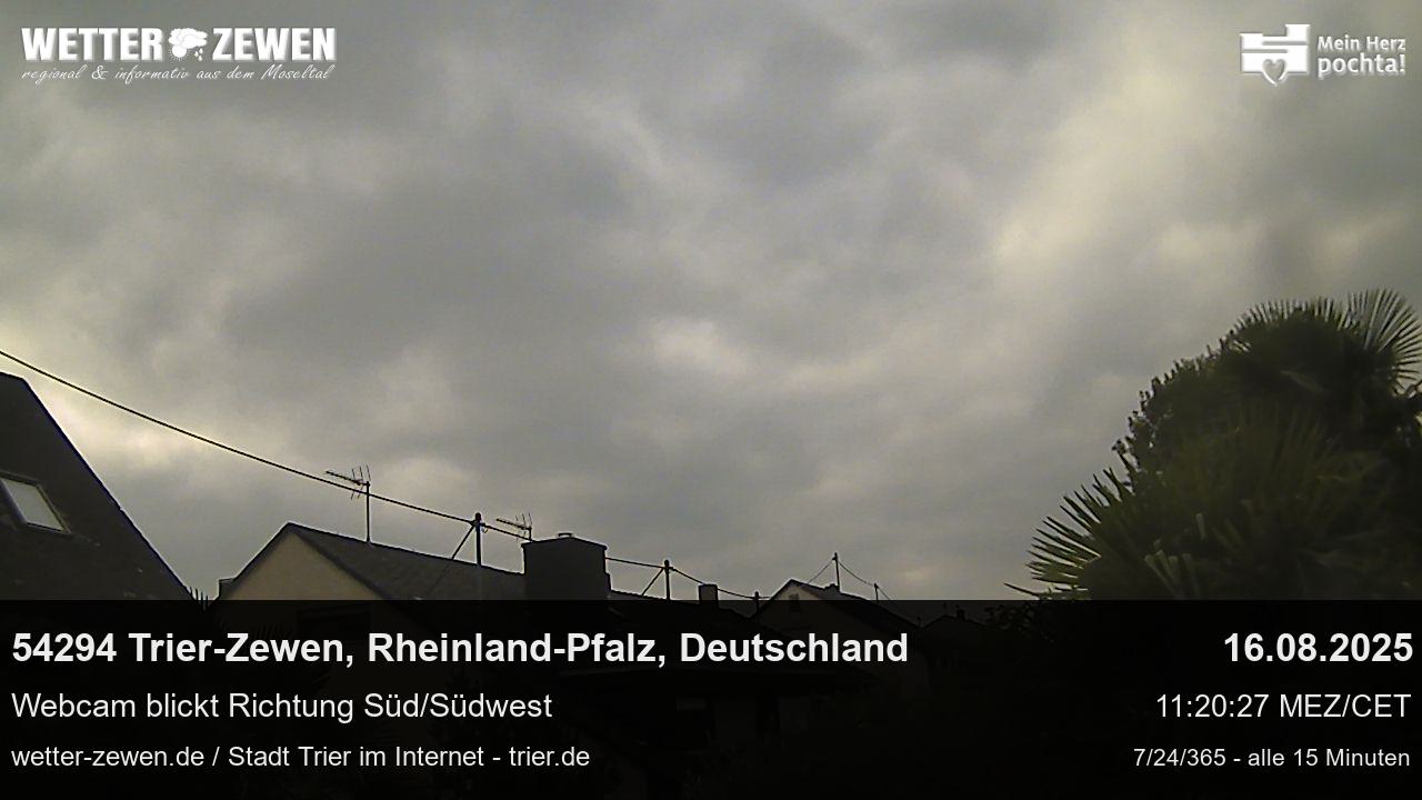 Bild