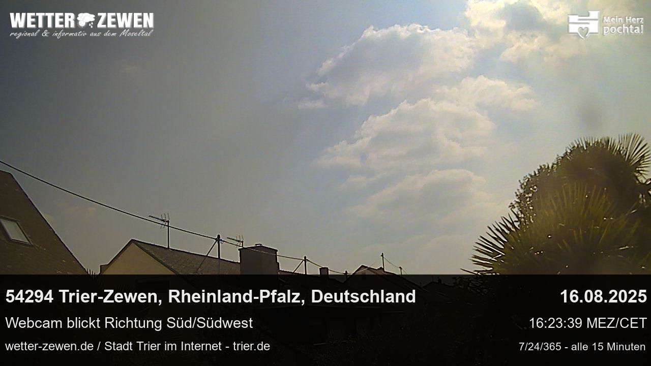 Bild