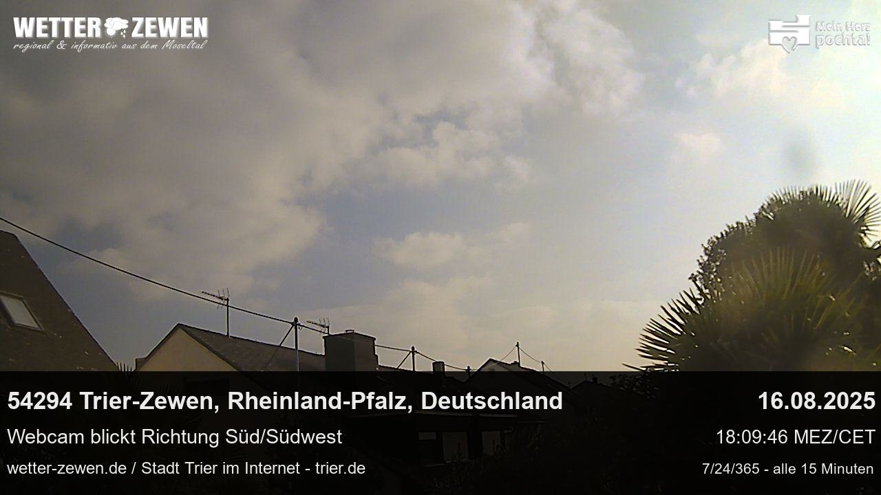 Bild