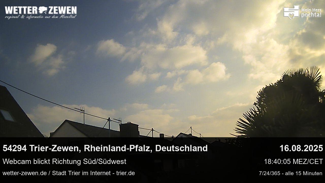 Bild