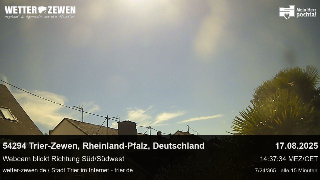 Bild